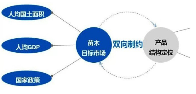 學(xué)習(xí)國外苗木行業(yè)經(jīng)驗(yàn)，搶先了解國內(nèi)市場動(dòng)態(tài)