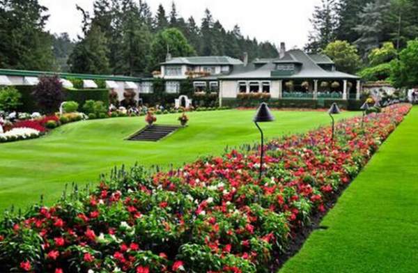 學(xué)習(xí)國外苗木行業(yè)經(jīng)驗(yàn)，搶先了解國內(nèi)市場動(dòng)態(tài)