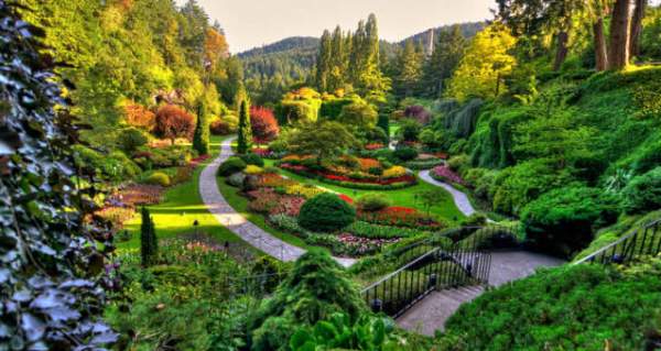 學(xué)習(xí)國外苗木行業(yè)經(jīng)驗(yàn)，搶先了解國內(nèi)市場動(dòng)態(tài)