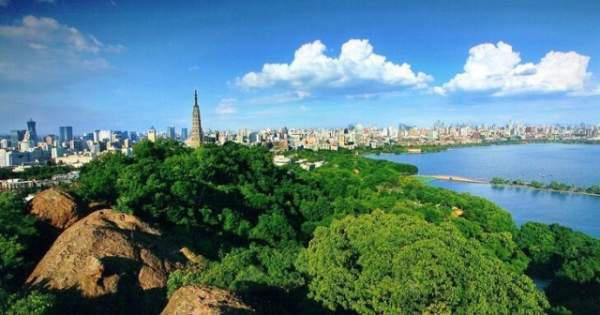 學(xué)習(xí)國外苗木行業(yè)經(jīng)驗(yàn)，搶先了解國內(nèi)市場動(dòng)態(tài)